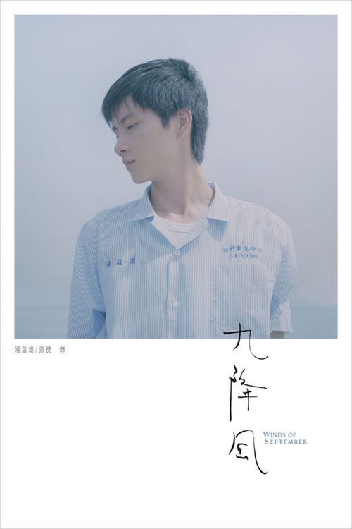怎么办假车辆行驶证